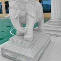 丽水 白麻花岗岩动物异形石雕-大象