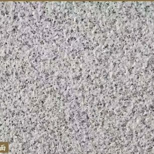 丽水白麻荔枝面