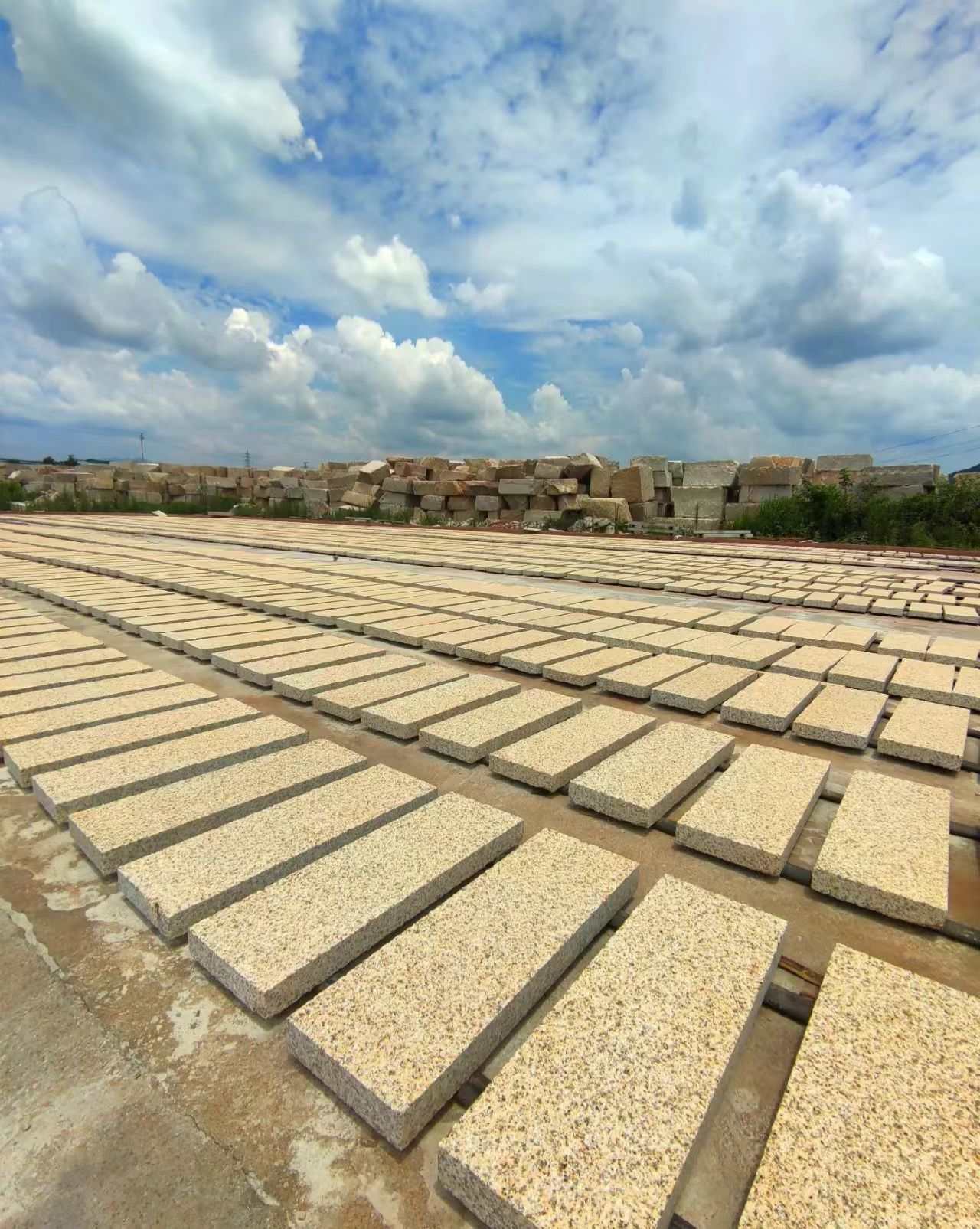 丽水 黄金麻花岗岩荔枝面地铺石防护中